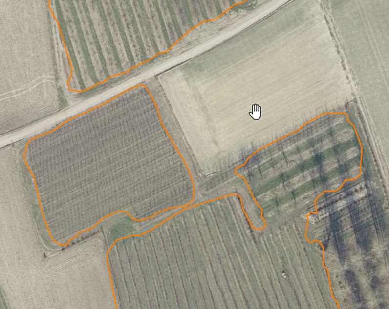 Segmentation of fruit