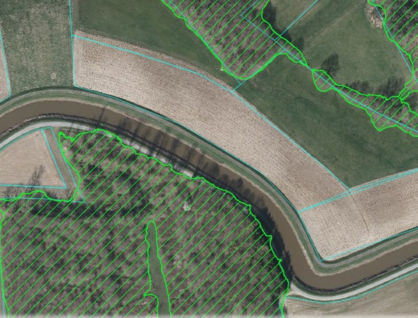 Segmentation of tree crowns